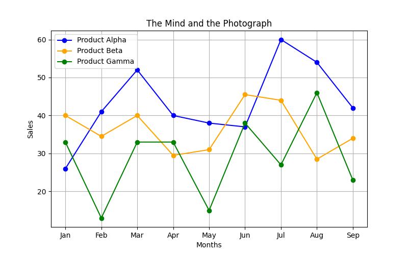 Visual Memory in Photography